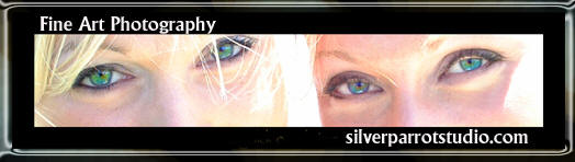 silverparrotstudio, gold coast of ontario