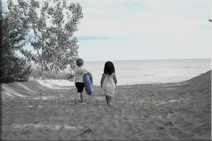 Bech Property For Sale Lake Erie On Ca Bech Property For Sale Lake Erie On Ca