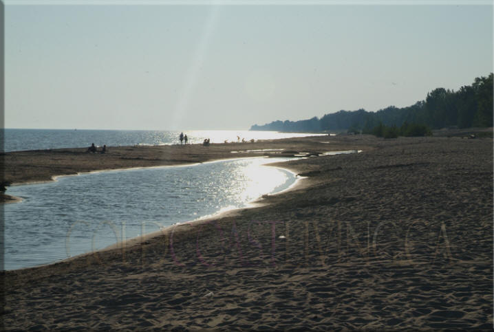 Photograph of Long Point Beach looking north, Norfolk County on Lake Erie, Ontario