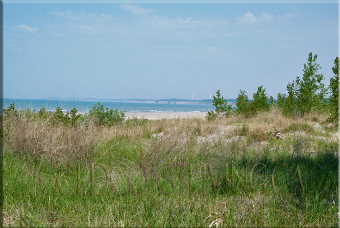 Photograph of sand dunes at Port Burwell Provincial Park Beach, on Lake Erie, Ontario